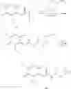 Fig. 1981 - CDK2 degraders and uses thereof