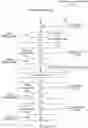 Fig. 01 - Generative adversarial neural network assisted video reconstruction