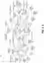 Fig. 05 - VECTOR ACTIVATION FUNCTION TO SUPPORT MACHINE LEARNING INFERENCE AND OTHER PROCESSES
