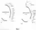 Fig. 02 - COMPOSITIONS AND METHODS OF STIMULATING AND EXPANDING T CELLS