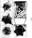 Fig. 05 - COMPOSITE NANOPARTICLE COMPOSITIONS AND ASSEMBLIES