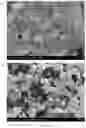 Fig. 09 - Particle Coating Method