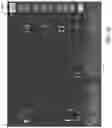 Fig. 20 - SYSTEMS AND METHODS FOR REMOTE CONTROL OF A LIFE-CRITICAL MEDICAL DEVICE