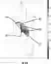 Fig. 71 - Catheter with shock wave electrodes aligned on longitudinal axis