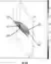 Fig. 79 - Catheter with shock wave electrodes aligned on longitudinal axis
