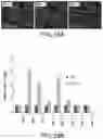 Fig. 85 - Methods for treating hair loss disorders