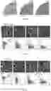 Fig. 06 - MICROBIAL STEM CELL TECHNOLOGY