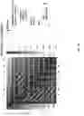Fig. 16 - Detecting visual similarity between DNS fully qualified domain names