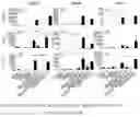 Fig. 06 - METHODS AND COMPOSITIONS RELATED TO THE NEXT GENERATION VACCINE