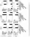 Fig. 07 - METHODS AND COMPOSITIONS RELATED TO THE NEXT GENERATION VACCINE