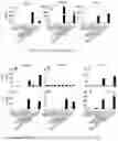 Fig. 08 - METHODS AND COMPOSITIONS RELATED TO THE NEXT GENERATION VACCINE