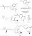 Fig. 586 - MAP4K1 inhibitors