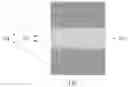 Fig. 02 - COMPOSITE POSITIVE ELECTRODE CURRENT COLLECTOR, ELECTRODE PLATE AND SECONDARY BATTERY