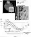 Fig. 02 - Method for predicting cardiovascular risk