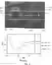 Fig. 08 - METHODS, SYSTEMS, PROGRAMS AND DEVICES TO PREDICT PATIENT OUTCOME USING DIFFERENTIAL IN PUPILLARY INDEX