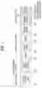 Fig. 02 - Method for transmitting and receiving signal in wireless communication system, and apparatus supporting same