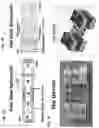 Fig. 02 - DEVICES AND METHODS FOR INCREASING THROUGHPUT OF FLOW-BASED ELECTROPORATION SYSTEMS