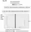 Fig. 06 - DEVICES AND METHODS FOR INCREASING THROUGHPUT OF FLOW-BASED ELECTROPORATION SYSTEMS