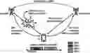 Fig. 01 - Bandwidth part indication in radio link failure report