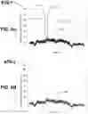Fig. 08 - SYSTEMS AND METHODS FOR EVALUATING SECURING SYSTEMS FOR FLOATING STRUCTURES USING VIRTUAL SENSORS