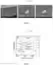 Fig. 09 - LAYER-BY-LAYER ASSEMBLY OF GRAPHENE OXIDE MEMBRANES VIA ELECTROSTATIC INTERACTION AND ELUDICATION OF WATER AND SOLUTE TRANSPORT MECHANISMS