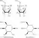Fig. 20 - GLYCOTARGETING THERAPEUTICS