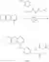 Fig. 45 - COMPOSITIONS AND METHODS FOR TREATING CANCER