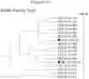 Fig. 02 - BACTERIAL GENES AND ISOLATES FOR CONFERRING INSECT RESISTANCE