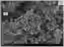 Fig. 01 - LITHIUM IRON PHOSPHATE POSITIVE ELECTRODE SHEET, PREPARATION METHOD THEREFOR, AND LITHIUM IRON PHOSPHATE LITHIUM-ION BATTERY