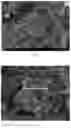 Fig. 02 - LITHIUM IRON PHOSPHATE POSITIVE ELECTRODE SHEET, PREPARATION METHOD THEREFOR, AND LITHIUM IRON PHOSPHATE LITHIUM-ION BATTERY