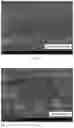 Fig. 03 - LITHIUM IRON PHOSPHATE POSITIVE ELECTRODE SHEET, PREPARATION METHOD THEREFOR, AND LITHIUM IRON PHOSPHATE LITHIUM-ION BATTERY