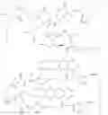 Fig. 613 - A CONJUGATE OF A CYTOTOXIC AGENT TO A CELL BINDING MOLECULE WITH BRANCHED LINKERS