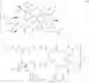 Fig. 652 - A CONJUGATE OF A CYTOTOXIC AGENT TO A CELL BINDING MOLECULE WITH BRANCHED LINKERS