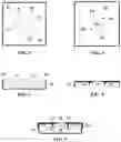 Fig. 02 - Pellet Orienting Device