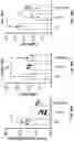 Fig. 49 - NUCLEOBASE EDITORS AND METHODS OF USE THEREOF