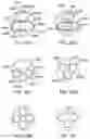 Fig. 24 - SIDE LOOKING MINIMALLY INVASIVE SURGERY INSTRUMENT ASSEMBLY