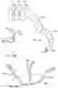 Fig. 34 - SIDE LOOKING MINIMALLY INVASIVE SURGERY INSTRUMENT ASSEMBLY