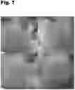 Fig. 08 - Oral Supplement to Trigger Repair Of Organs