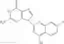 Fig. 07 - NUCLEOTIDE ANALOGUES