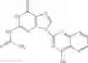 Fig. 08 - NUCLEOTIDE ANALOGUES