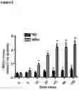 Fig. 04 - COMPOSITIONS AND METHODS CONTAINING REDUCED NICOTINAMIDE RIBOSIDE FOR PREVENTION AND TREATMENT OF CARDIOVASCULAR DISEASES AND CONDITIONS