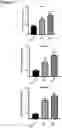 Fig. 06 - COMPOSITIONS AND METHODS CONTAINING REDUCED NICOTINAMIDE RIBOSIDE FOR PREVENTION AND TREATMENT OF CARDIOVASCULAR DISEASES AND CONDITIONS
