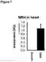 Fig. 08 - COMPOSITIONS AND METHODS CONTAINING REDUCED NICOTINAMIDE RIBOSIDE FOR PREVENTION AND TREATMENT OF CARDIOVASCULAR DISEASES AND CONDITIONS
