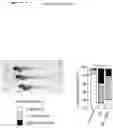 Fig. 10 - COMPOSITIONS AND METHODS CONTAINING REDUCED NICOTINAMIDE RIBOSIDE FOR PREVENTION AND TREATMENT OF CARDIOVASCULAR DISEASES AND CONDITIONS