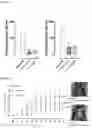 Fig. 02 - LACTIC ACID BACTERIUM-CONTAINING COMPOSITION