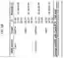 Fig. 09 - Materials and methods for increasing gene editing frequency