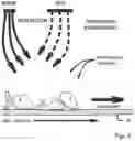 Fig. 05 - Rapid pulse programming of seeds using unnatural light exposure