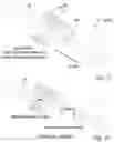 Fig. 09 - Rapid pulse programming of seeds using unnatural light exposure