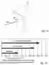 Fig. 10 - Rapid pulse programming of seeds using unnatural light exposure
