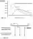 Fig. 14 - Rapid pulse programming of seeds using unnatural light exposure